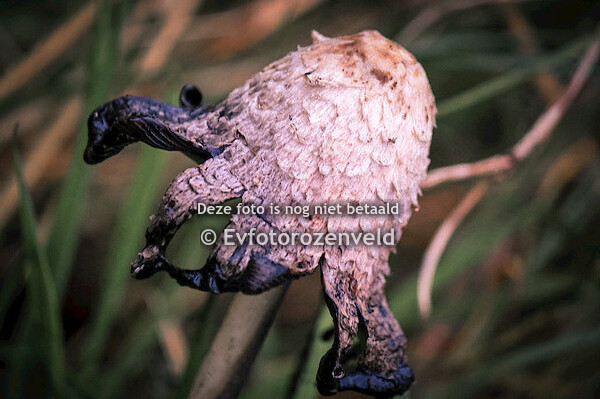 20160101 voor aan de muur