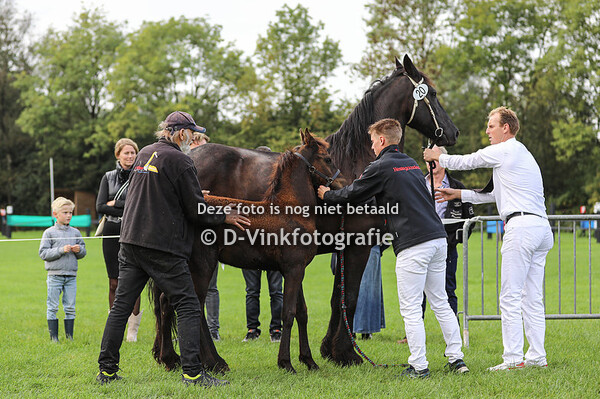 20. Wendela van de Boezem