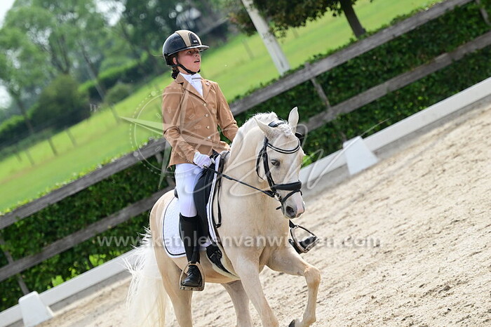 Bliss van 't Riet - Onchao