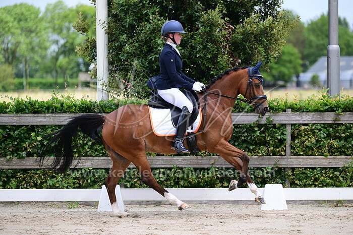 Robin Dicker - Hulst Isadora