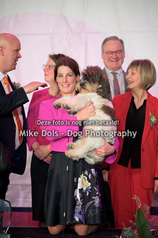 Hond vh Jaar Show 2024