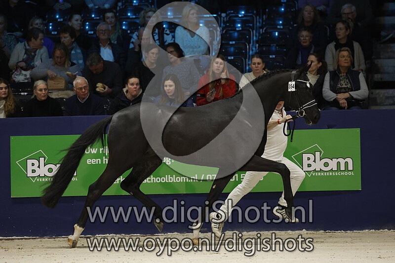 Roubaix Ter Selle S v. For Ferrero - 354