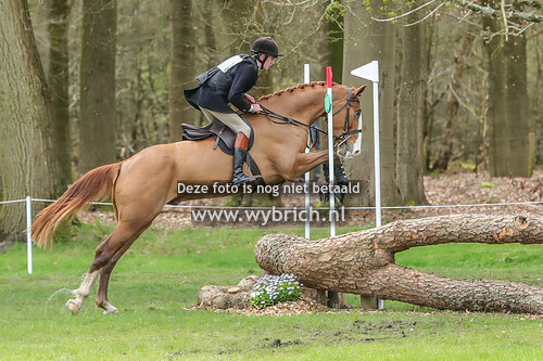 Huntertrials KNJV Maarsbergen 6-4-2024