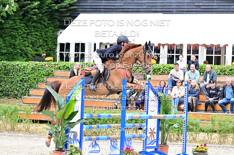 20 Klassiek paarden 1.10 m MB