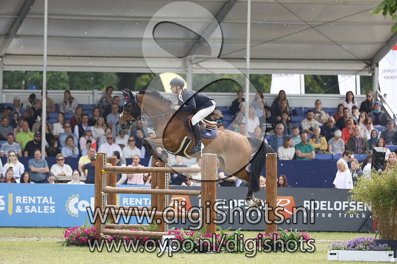 VDL Groep Nino du Roton