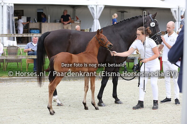 34 Valtra vd Koetsoever (Mc Laren x veronique v. Negro)