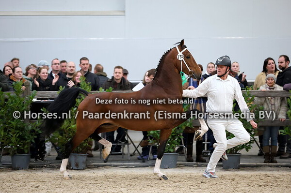 04-01-25 KWPN Tuigpaard HK 2025