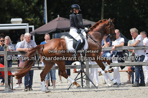 Fokker van het jaar dressuur Fam ten Bosch