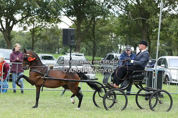 Hackney Grote Limiet