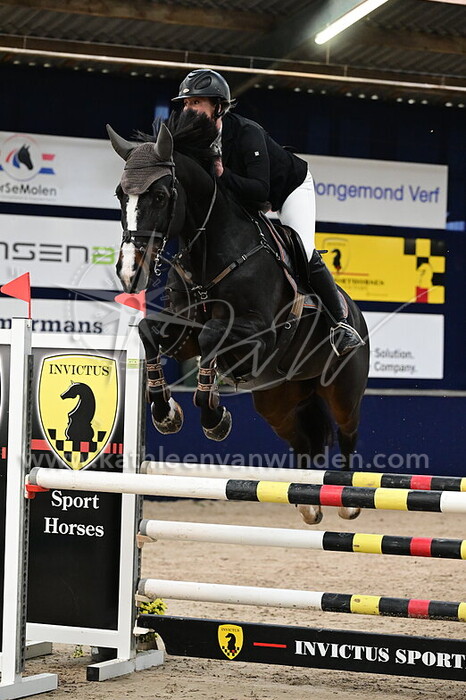 Lisanne Verdonk - Trumpeter Nikita