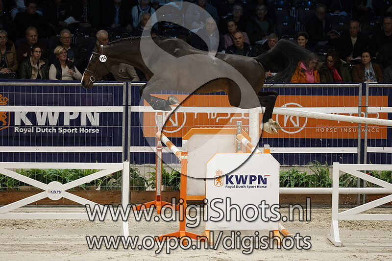 Raptor Adc v. Luigi D'eclipse - 114