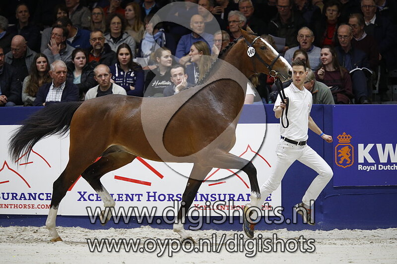 Latrichta v. Grandorado TN