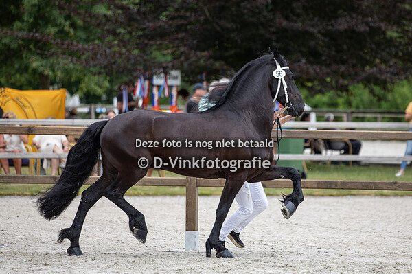 56. Eilard van Broersmastate