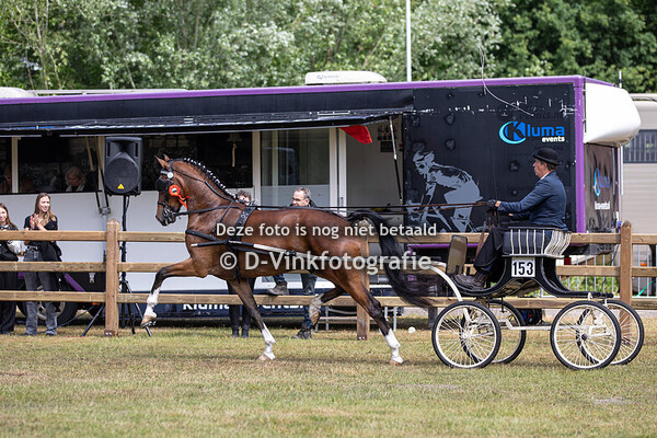 09. Eenspannen Tuigpaarden competitie om de Christ Louws bokaal