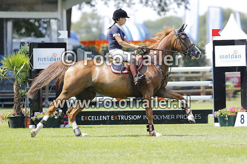 Veronique van Wijlick