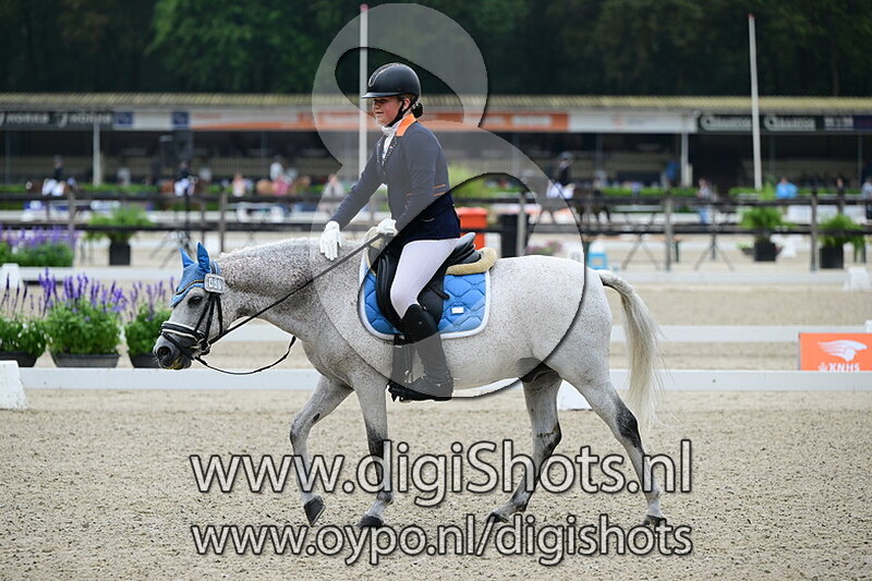 Ring 5 Klasse M2 cat ABC