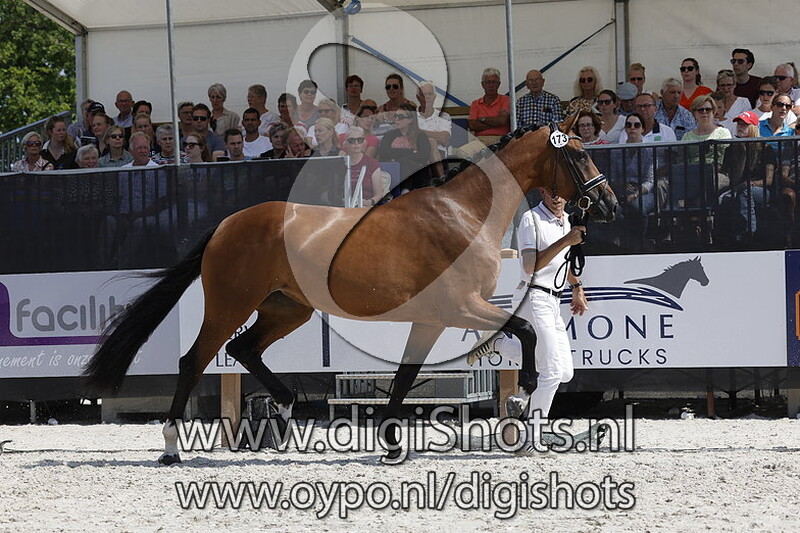 Pixels Initana van hof olympia v. So Unique