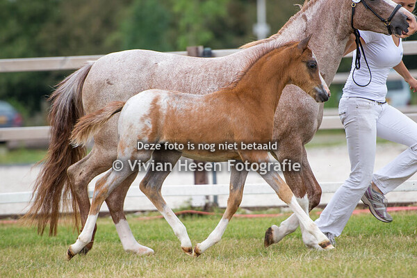 Regionale Keuring Utrecht