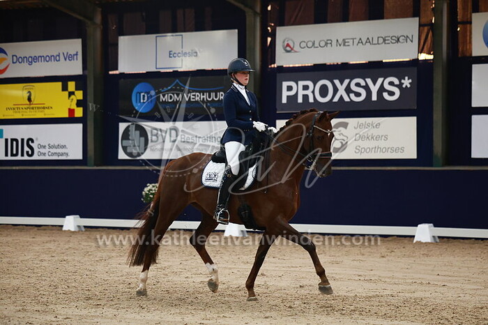 Micky Schelstraete - Venezia