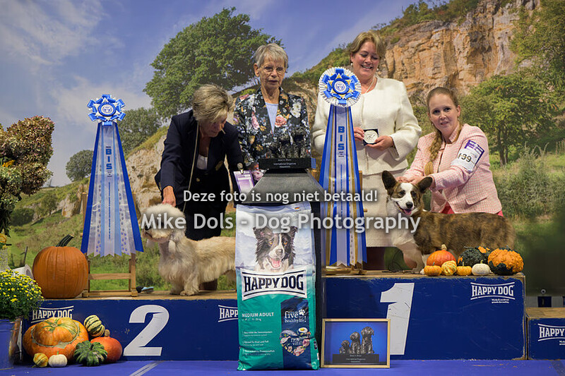 Dogshow Maastricht - Zaterdag