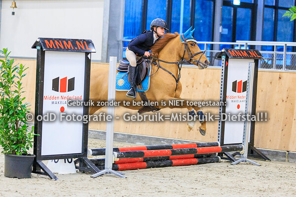 RSV Barneveld Pony's 30cm stijl  06-12-25