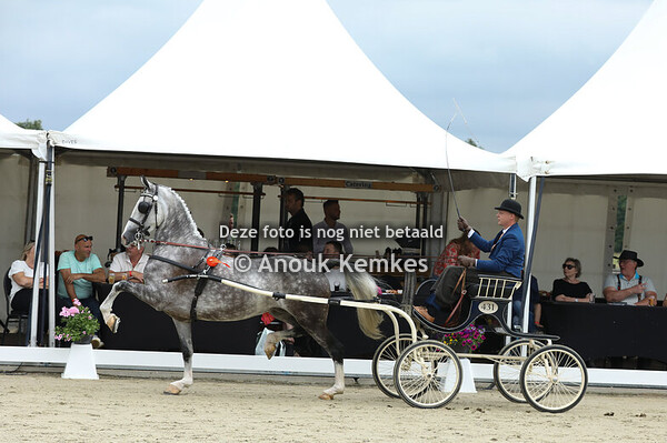 TP Noord Grote Limiet 