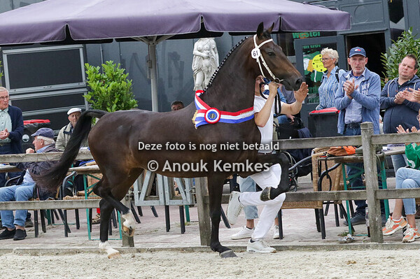 061 -  RADORA CIZANDRO X DITISEM D. NOORDHUIS, WIJSTER/ L. LUEKS, DIEVER