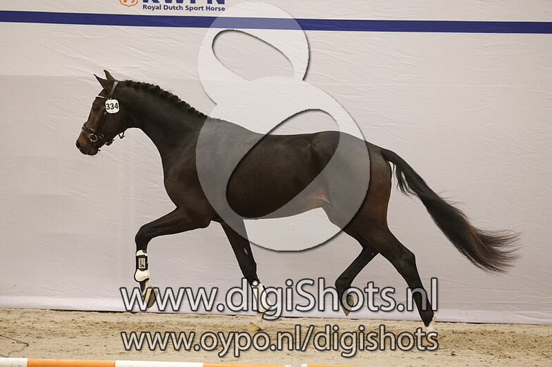 Shelby VRB v. Florida TN