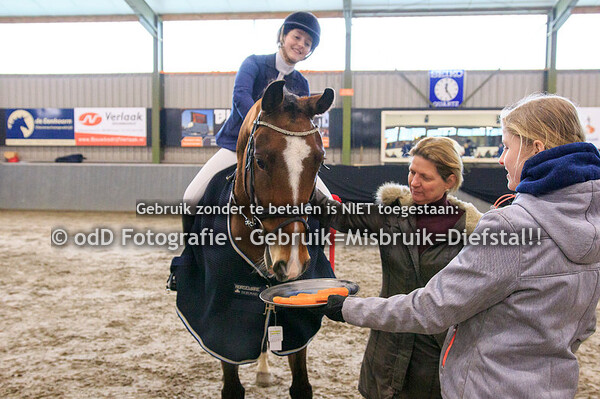 KNHS Regiokampioenschappen springen Limburg (L) 15-02-20