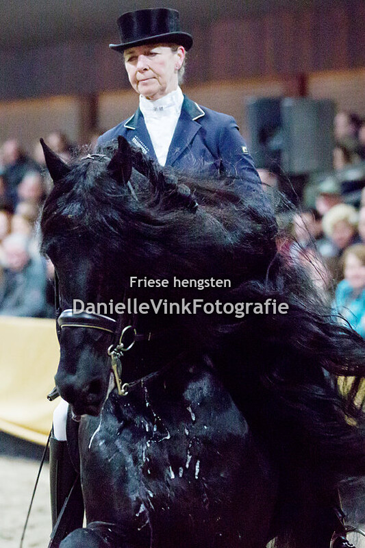 Hengstenshow Lunteren 24-02-2018 Uldrik 457