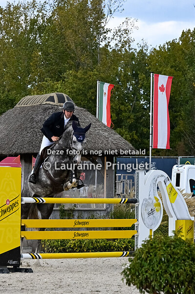 09/2025 - Lier: Gold