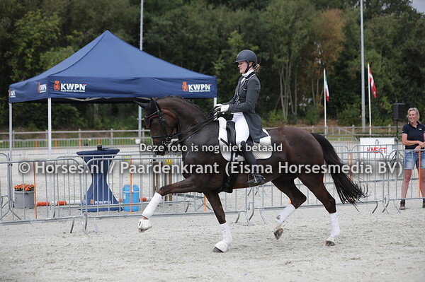 Huldiging fokker van het Jaar Roerink