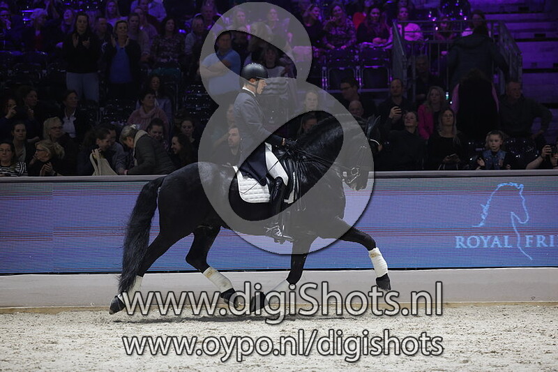 Presentatie Sport Elite Stamboekhengsten