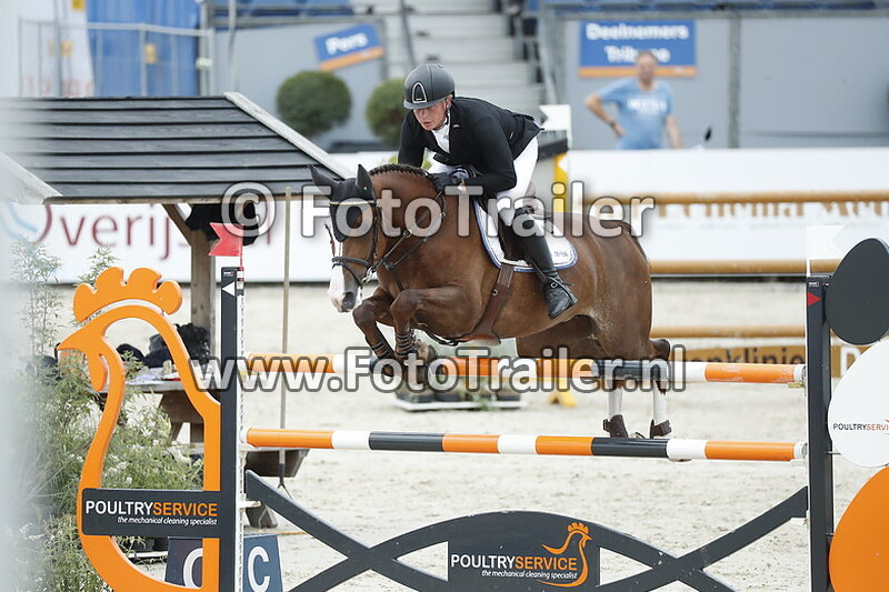 dennis van den brink