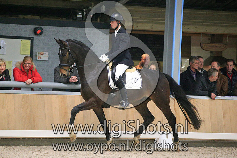 Wolfshoeve Hard to Beat