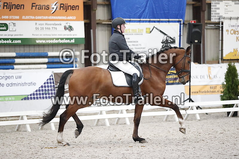 Priscilla Morgenstern