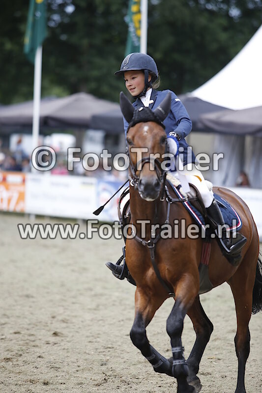 Rubriek 56 - Klasse B Cat. D