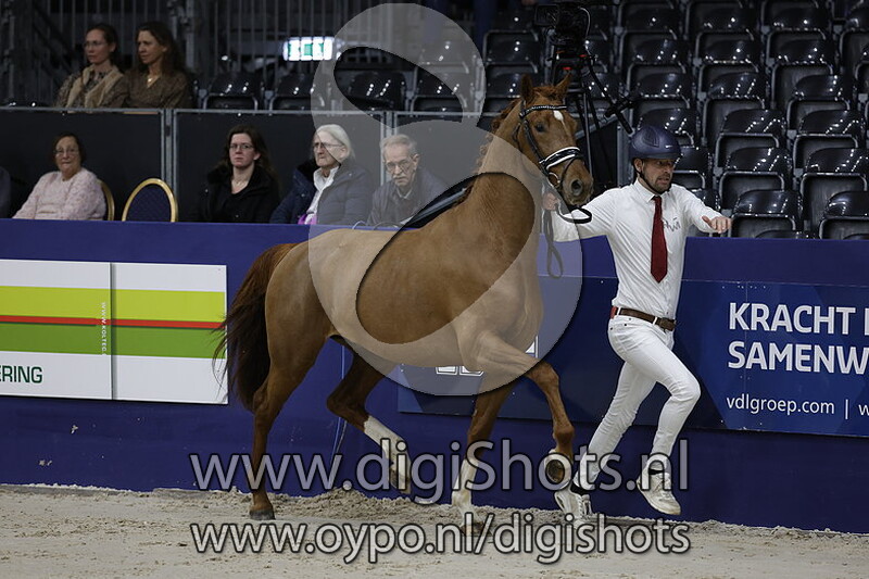 Royal King v. King Karim - 609