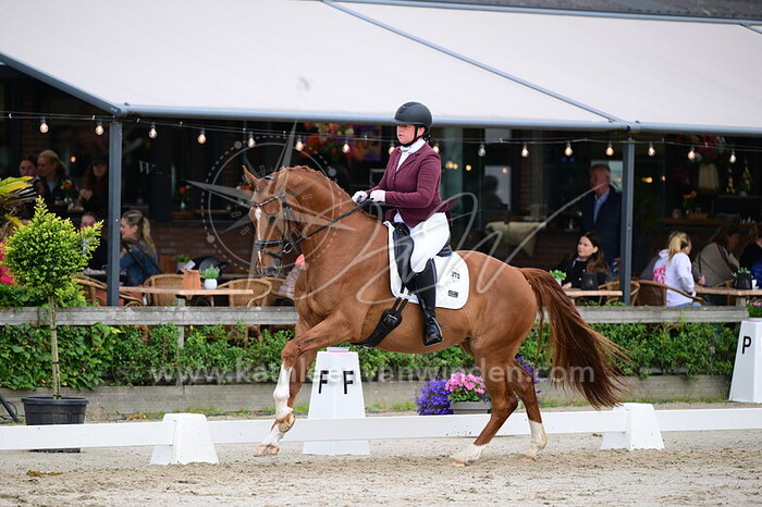 Jasmijn Maijer - Nightrider