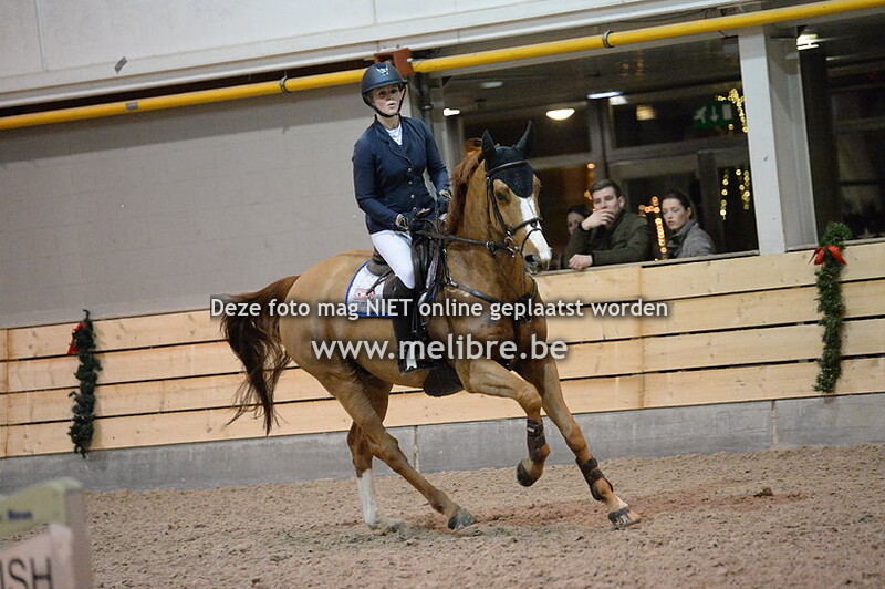 Nieuwjaarsjumping De Warre -VRIJ- Masters