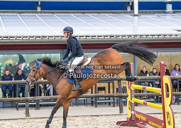 Outdoor Beukers - Pony's 100/110/120cm