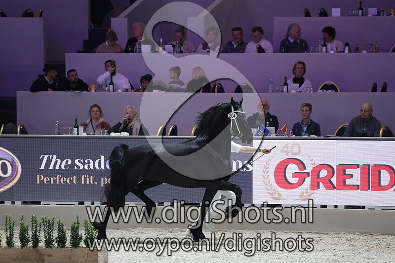 Yaya van het Binnenveld