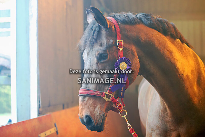 RSHenschoten Schriktraining 05-02-2023 Groep 2