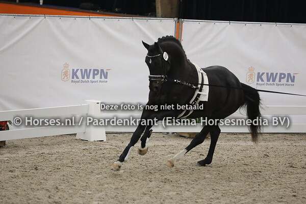 405 (Foundation x Ferro)