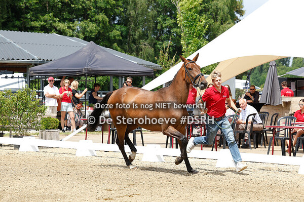 13. VROUWELIJKE DRIEJARIGEN SPRINGEN