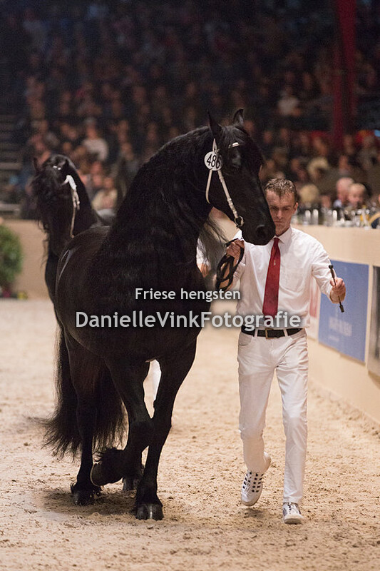 Hengstenkeuring 2018 Julius 486