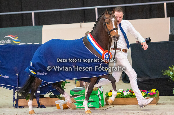 NWR (Vrijdag en zaterdag)