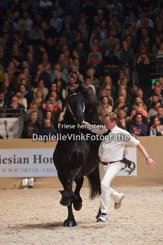 Hengstenkeuring 2018 Aan 416