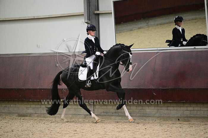 Kim Noordijk - Special Edition