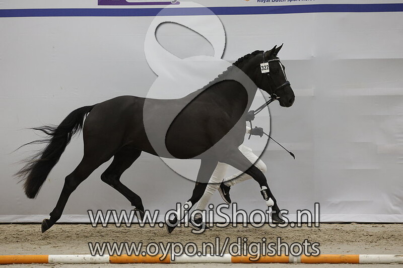 Rio Nl v. Dante Weltino - 322